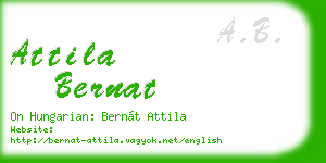 attila bernat business card